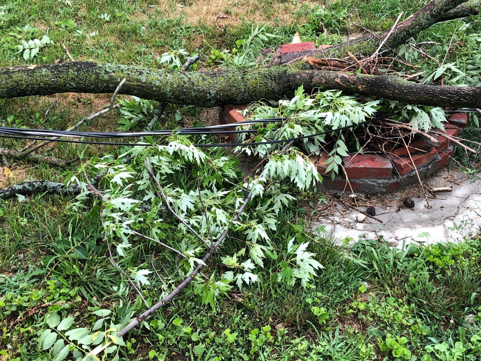 071121-owh-new-stormdamage-pic-AR005.jpg